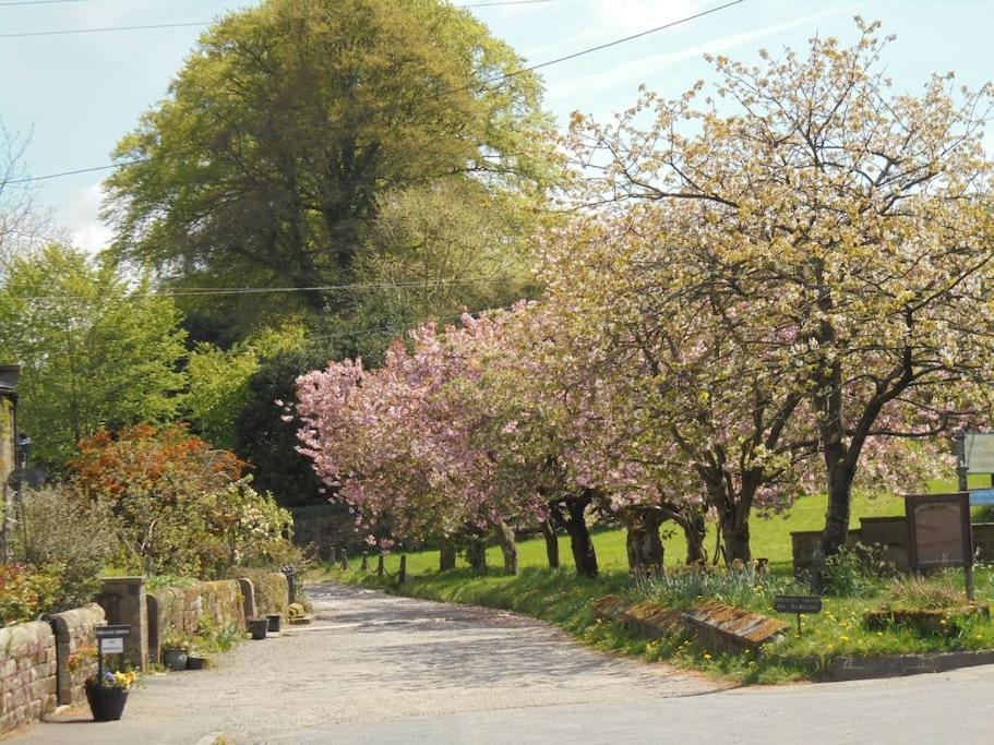 Rustic Cottage, Garden, Near Amenities, Wifi Pateley Bridge Exterior foto
